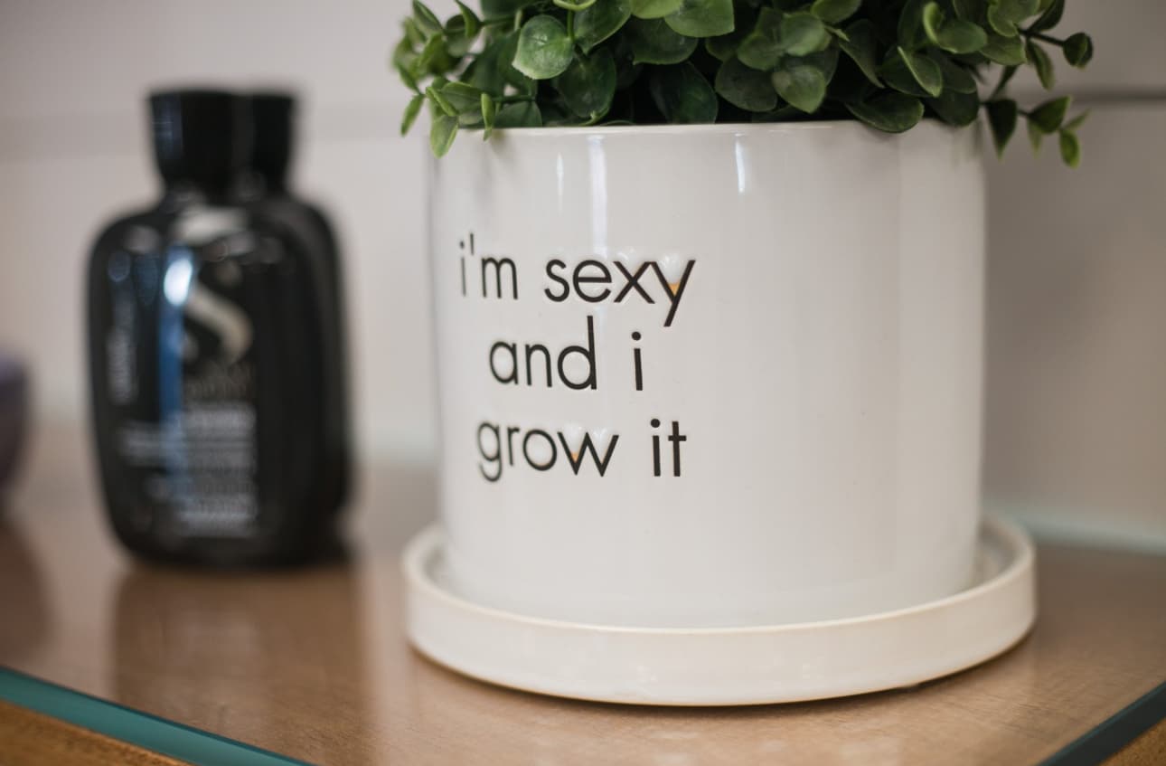 Salon decor — i'm sexy and i grow it